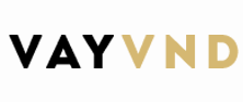 vayvnd.vn logo